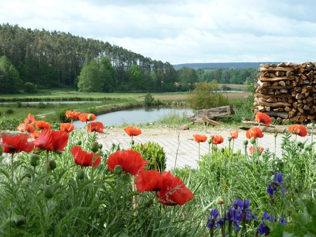Ferienwohnungen Am Buechlhof Im Oberpfaelzer Seenland Neunburg vorm Wald Zewnętrze zdjęcie
