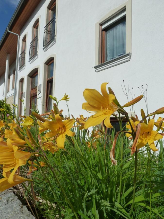 Ferienwohnungen Am Buechlhof Im Oberpfaelzer Seenland Neunburg vorm Wald Zewnętrze zdjęcie